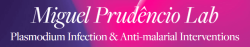 Miguel Prudêncio Lab